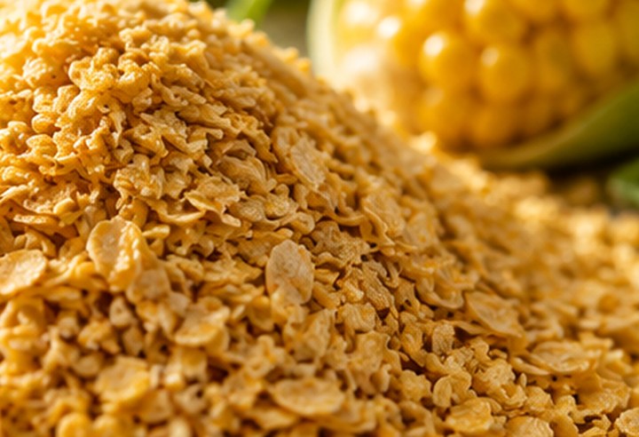 Corn germ product presentation